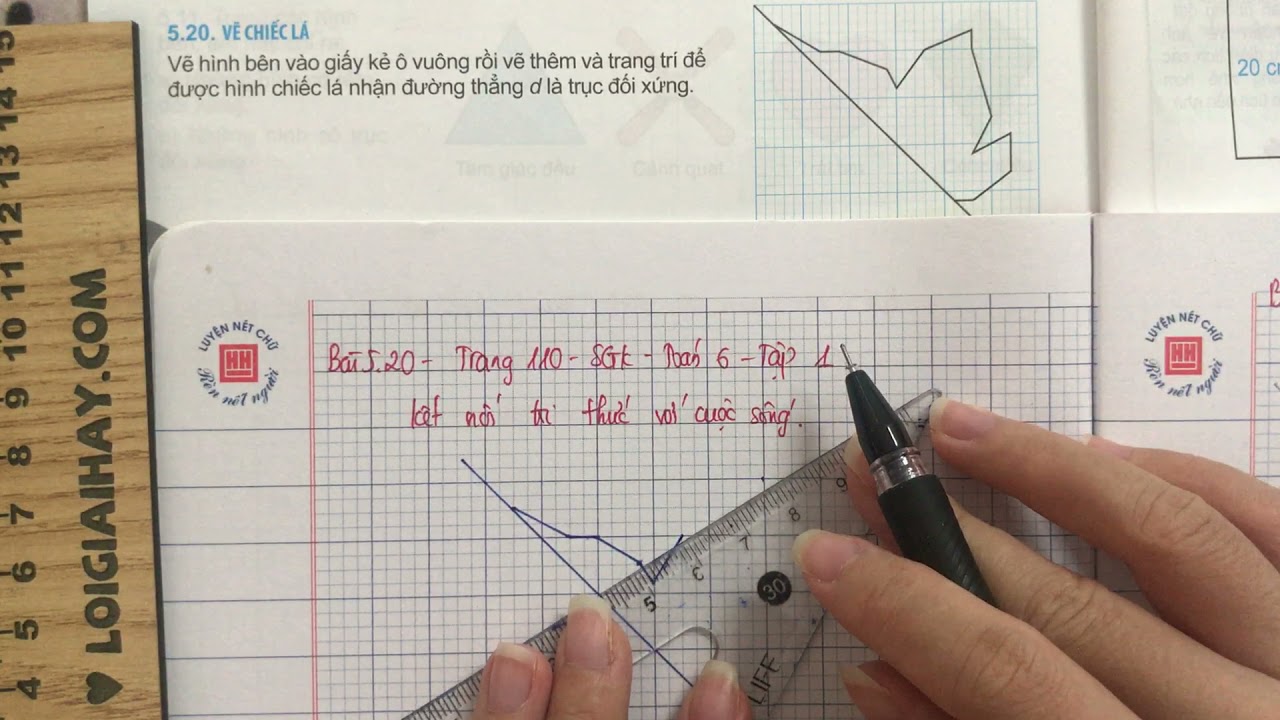 Bài 5.20 trang 110 SGK Toán 6 Kết nối tri thức với cuộc sống