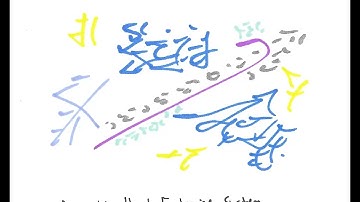 Light Language for Animals: Heal Endocrine System