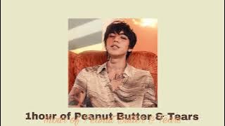~ 1 hour of Peanut Butter and Tears by DPR Ian ~