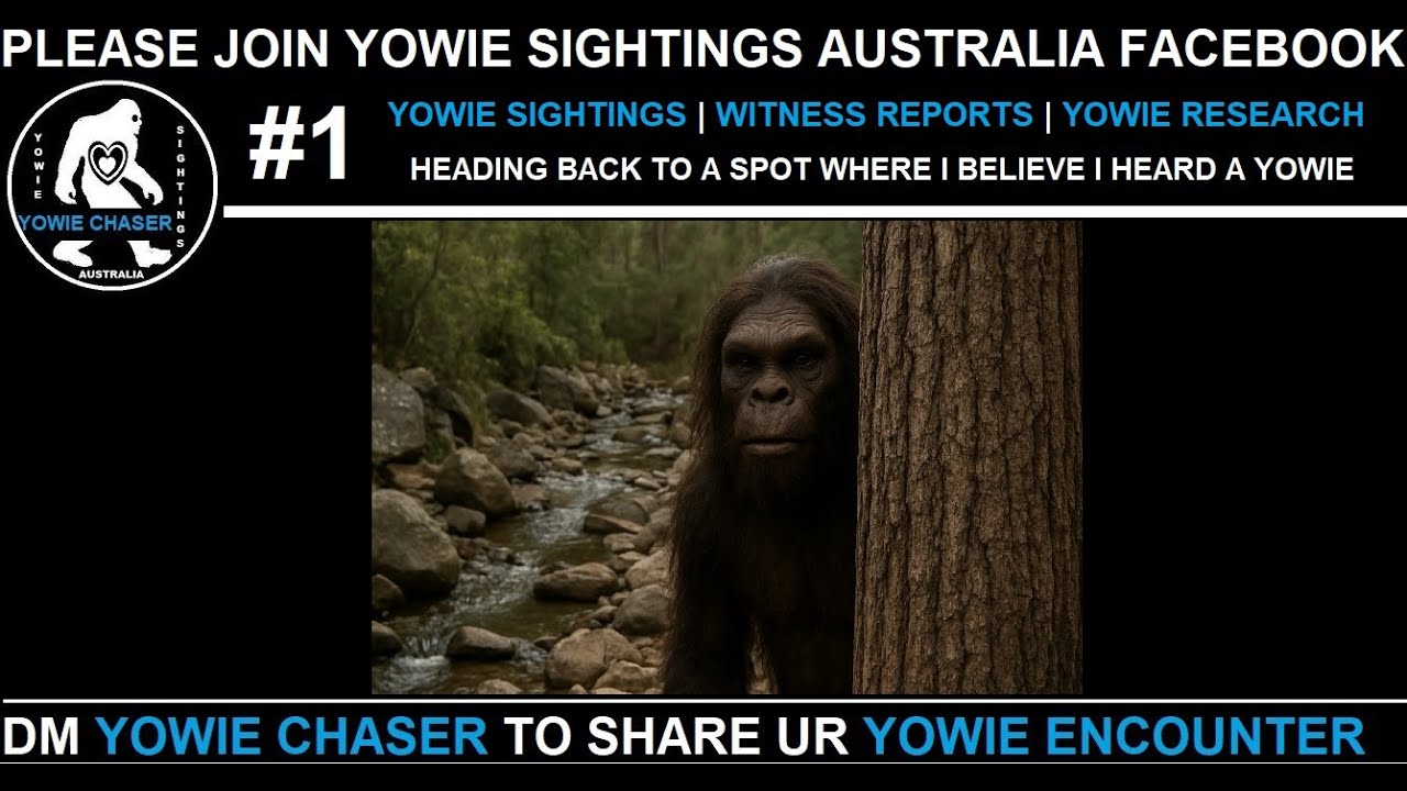 Поиск Yowie Вернуться к секретному местоположению Yowie