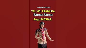 YEL YEL STECU REGU MAWAR