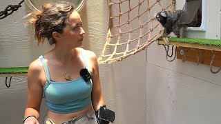 Maya gives the monkeys their enrichment at Alveus