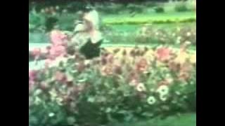 Paniyil nanaiyum malargaL reNdu - Priya oh Priya