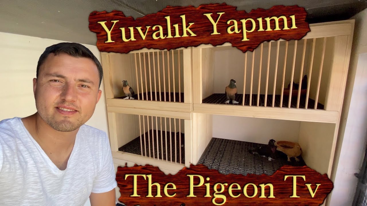 Gaz Beton Kümes II (Yuvalık Yapımı)