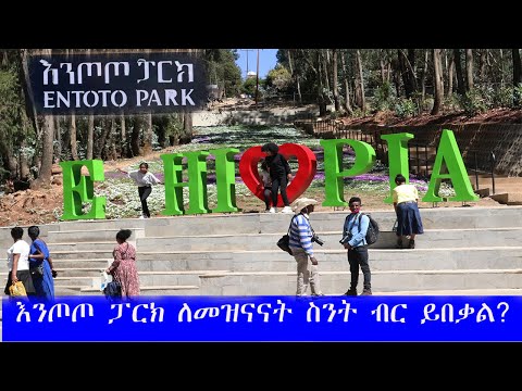 ቪዲዮ: ሆች የወንጀለኞችን አእምሮ ትቶታል?