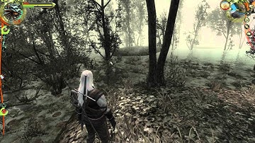 Witcher 1 Chapter 2 part 14 PC HD The Cave in the Marsh