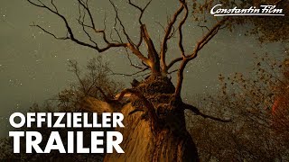 DAS GEHEIME LEBEN DER BÄUME I Offizieller Trailer