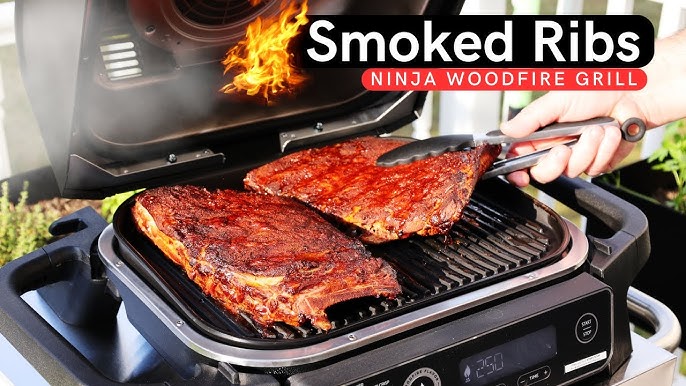 NINJA WoodFire Outdoor Grill 7-in-1 BBQ Smoker Air Fryer OG701 Review Makes  Amazing Smoked Ribs!!!! 