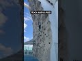 Rock wall on Mariner of the seas