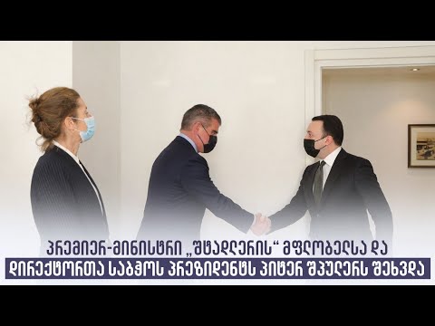 პრემიერ-მინისტრი „შტადლერის” მფლობელსა და დირექტორთა საბჭოს პრეზიდენტს პიტერ შპულერს შეხვდა