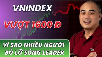 VN-Index vượt 1.600 điểm| Vì Sao Vẫn Nhiều Người Bỏ Lỡ Sóng Leader?