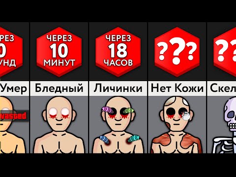 Что Происходит С Телом После Смерти