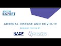 Adrenal disease and covid 19 ask the expert