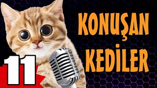 Konuşan Kediler 11 - En Komik Kedi Videoları