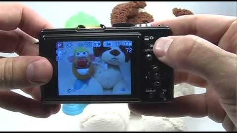 Panasonic DMC-LX3: Format