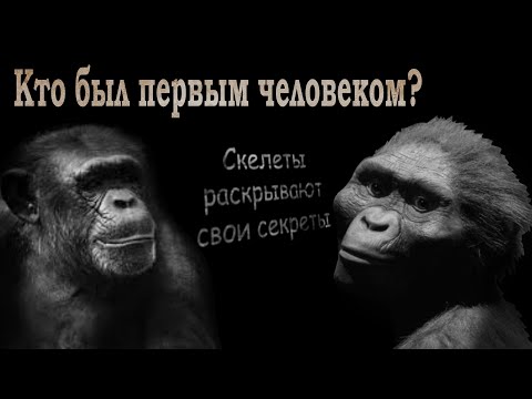 Эволюция человека: кто был предком Homo sapiens? | История человечества | Познавательное видео