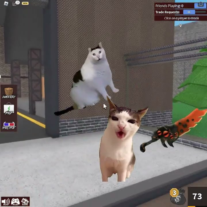 CAT MEME IN MM2 Memes Roblox Meme Bloxfruits Murdermystery2 Oar2