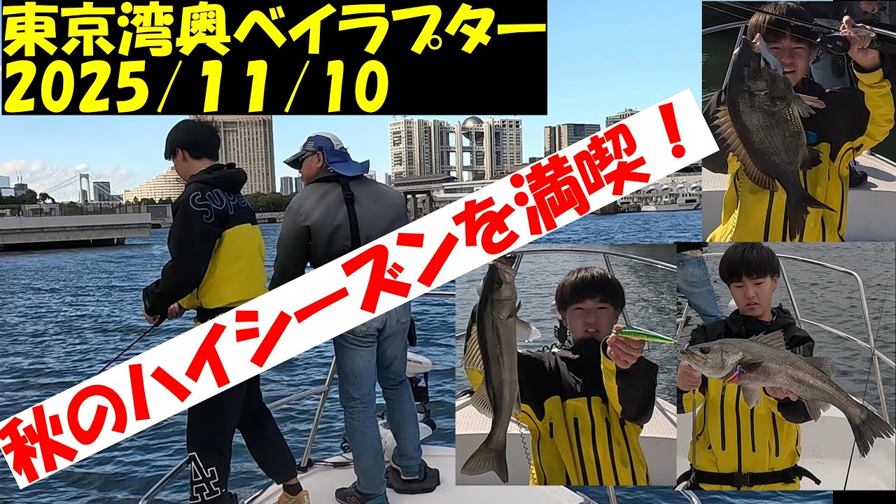【東京湾ボートシーバス釣行記】令和７年１１月１０日　秋晴れの湾奥で短時間ですが秋のハイシーズンを満喫出来ました。#ボートシーバス #フリップキャスト #アイパイロット #東京湾