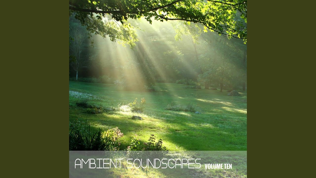 YouTube에서 Electronic Synchurch - Lightwaves 보기 YouTube에서 Electronic Synchurch - Lightwaves 보기