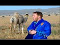 أغنية رائعة للفنان المحبوب حميد أمراكشي ومنك زا رادسكرغ HAMID AMRRAKCHI 
