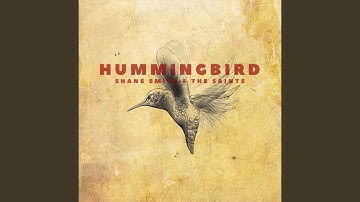 Hummingbird