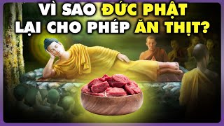 ĐỨC PHẬT Dạy Đệ Tử ĂN THỊT Như Thế Nào | Thế Giới Cổ Đại