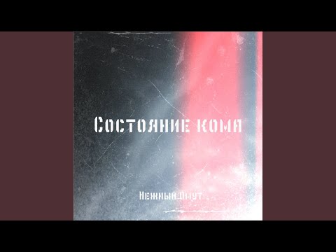 Состояние кома