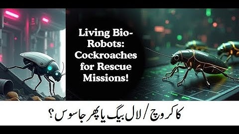 AI-Powered Cockroach Robots? Bio-Robots for Spy & Rescue Missions!