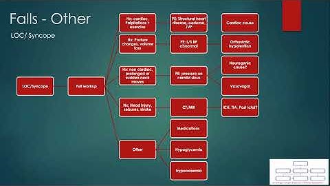 Concept maps: Approach to "A Patient with fall"