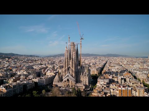 2024 Nueva grúa