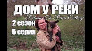 Дом у реки - Return To River Cottage - 2 сезон 5 серия