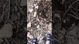 A Day on Peaks Island 🏝️ | Exploring More of Maine!