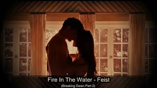 Fire In The Water - Feist (AUDIO)