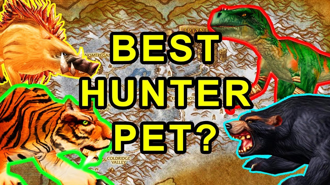 Wow Classic Best Hunter Pet | Best Laptop