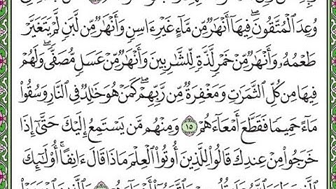 سورة  محمد مكررة الآيات من 15إلى 16/ Surah Muhammad is repeated