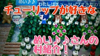 【とび森】うつくしい村めい♪♪さんの村紹介！！