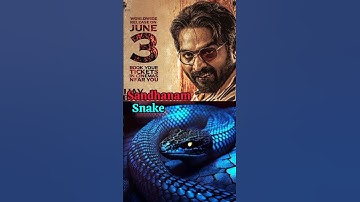 Lcu Characters Sign | Lokesh cinematic universe #shorts #leo #rolex #vikram #kaithi #thalapathy #Icu