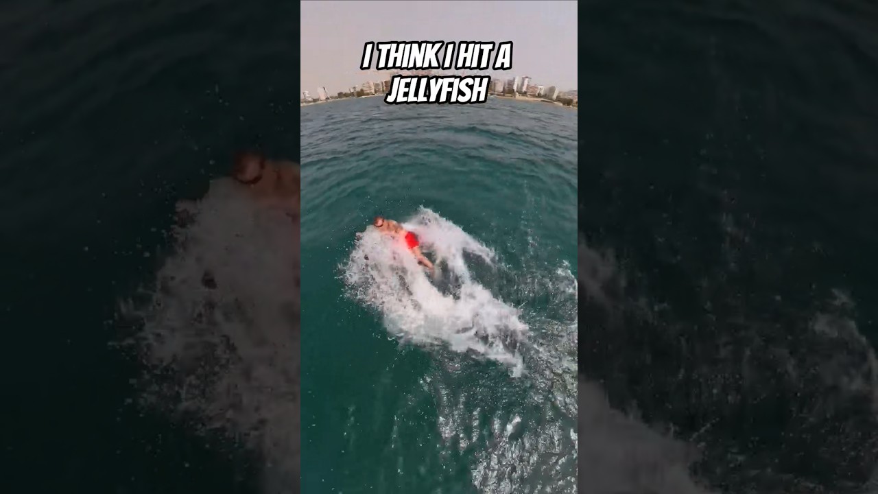 Efoil VS Jellyfish