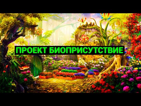 Химеры и Гибриды