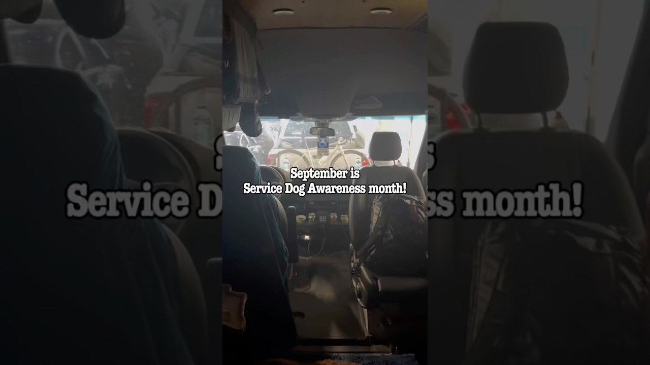 Today is the last day of service dog awareness month!