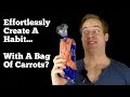 How To Create A Habit Effortlessly - With A Bag Of Carrot