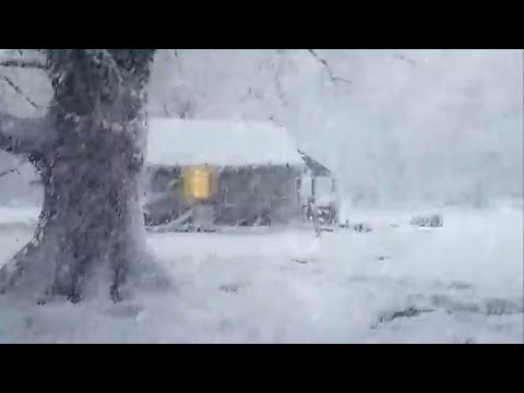 Mighty Blizzard Sounds for Sleeping at Abandoned House | Howling Wind & Freezing Blowing Snow
