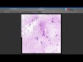 SimpleXYZ Real Capture