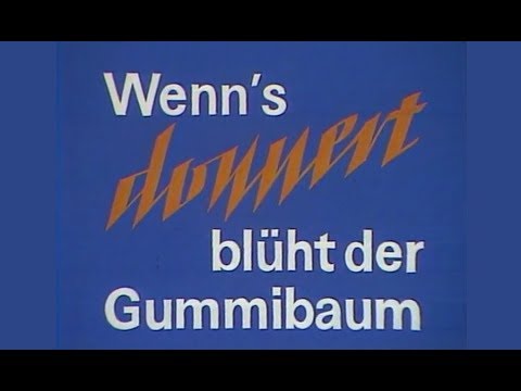 Fernsehspiel - Wenn's donnert blht der Gummibaum - Fernsehen der DDR 1982
