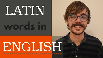 Common Latin words and phrases in English | VOCABULARY & PHRASES