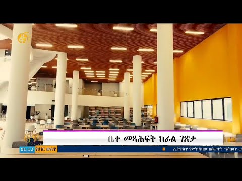 ቪዲዮ: ከፊል ፓልሜድ የሚኖረው የት ነው?