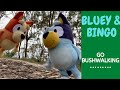 Bluey & Bingo GO BUSHWALKING!! Learning through Play! #disneyjnr #abckids #bluey