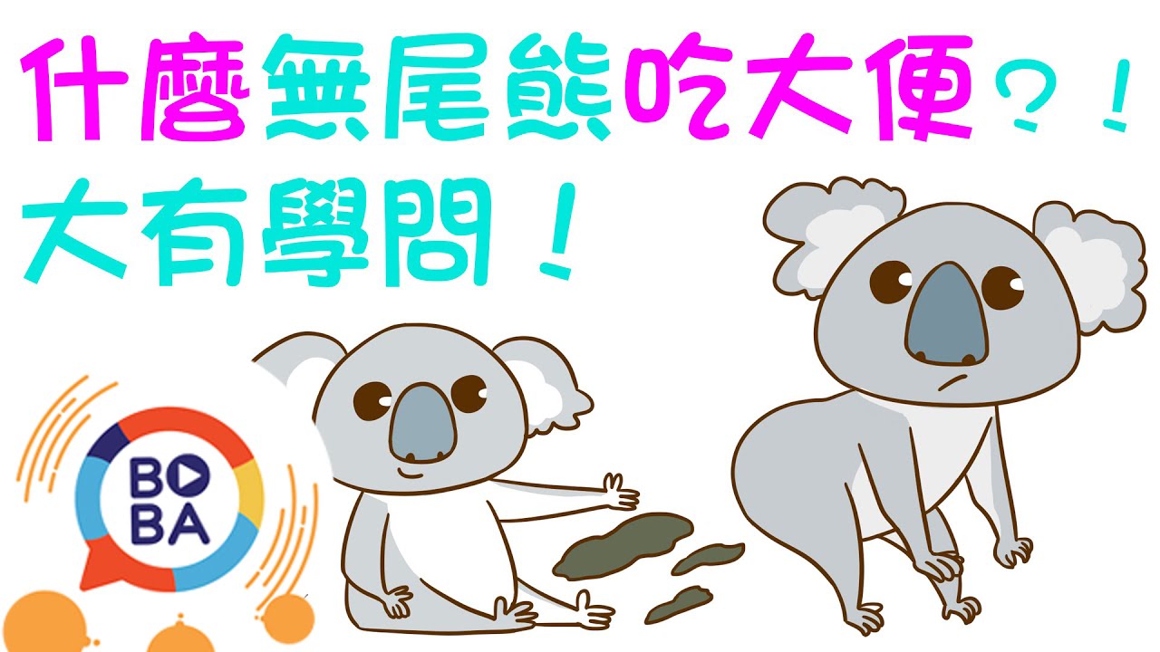 【扶拉格透可】什麼無尾熊吃大便？！ 大有學問！│Baby Koalas Eat Poop? YouTube