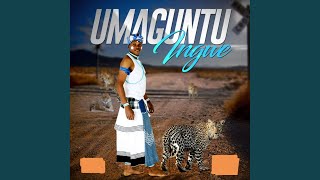 Ingwe