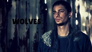 Jasper Jordan [the 100]| Wolves